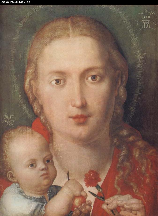 Albrecht Durer The Madonna with a Carna-tion